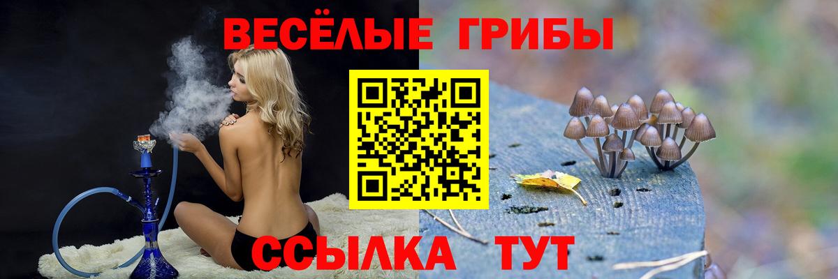 Псилоцибиновые грибы MAGIC MUSHROOMS  Вход с VPN  как найти закладки  Кировск 